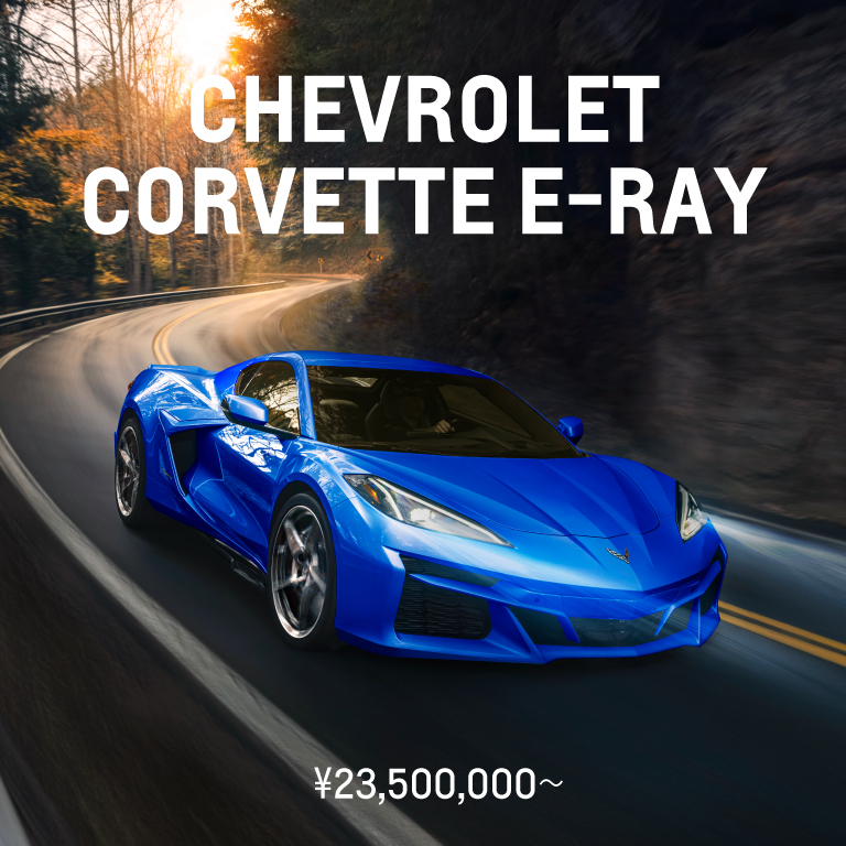 CHEVROLET CORVETTE E-RAY