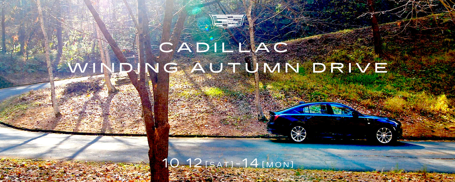 [期間：10/12-10/14]CADILLAC WINDING AUTUMN DRIVE FAIR